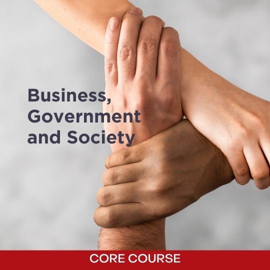 Core course - Business, Government and Society